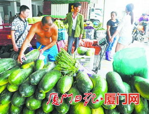 閩南農副產品物流中心試營業，構筑區域“菜籃子”新樞紐