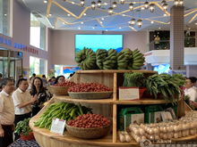 上林扶貧農(nóng)副產(chǎn)品展銷中心在南寧揭牌，助力鄉(xiāng)村振興新篇章
